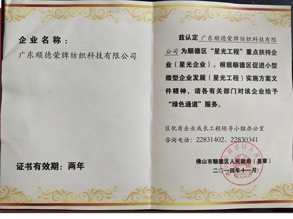 龙八long8玩家荣获政府重点扶持企业